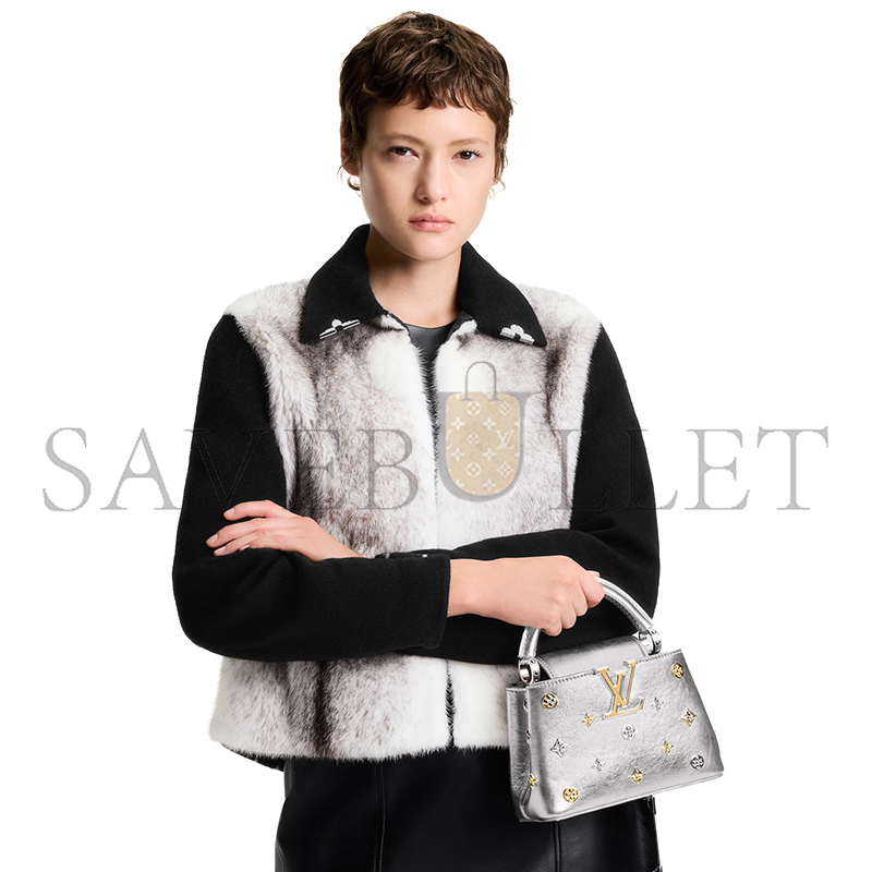 LOUIS VUITTON CAPUCINES MINI M26258 (21*13.6*8cm)